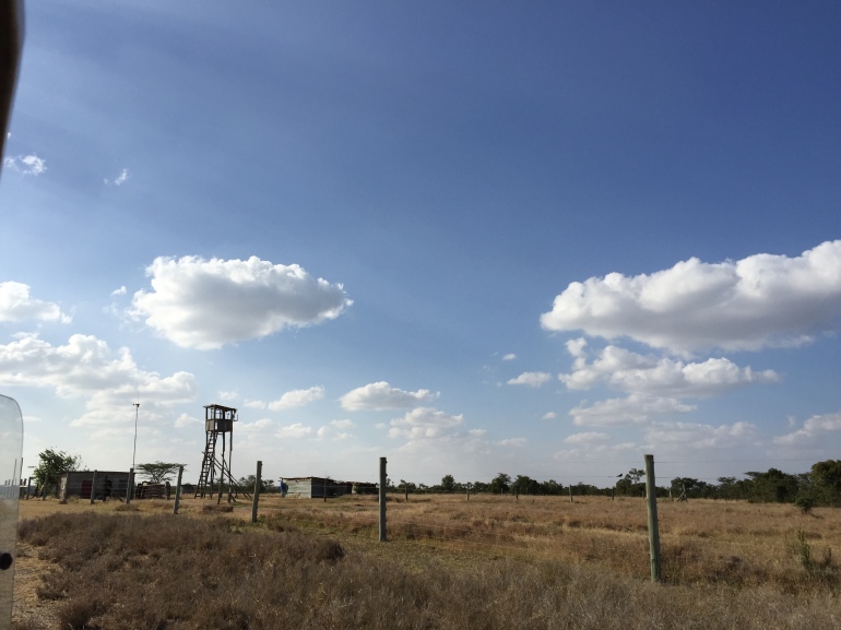 The tower and gate at El Karama Ranch